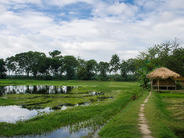 Majuli