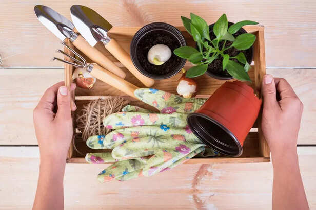 Herb Garden Kit