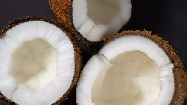 Coconut
