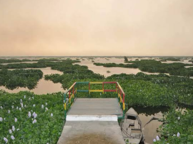 Harike Wetlands in Punjab