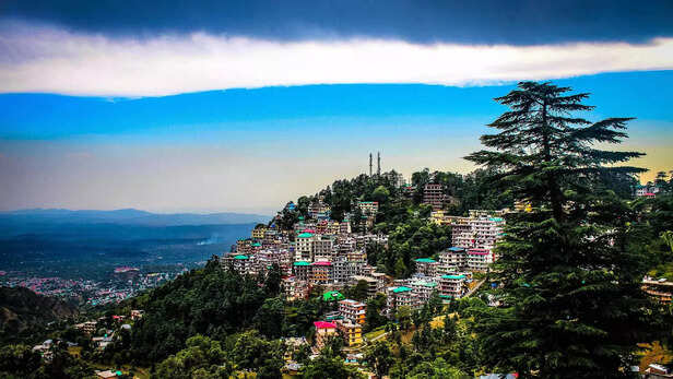Maclond Ganj Hill View