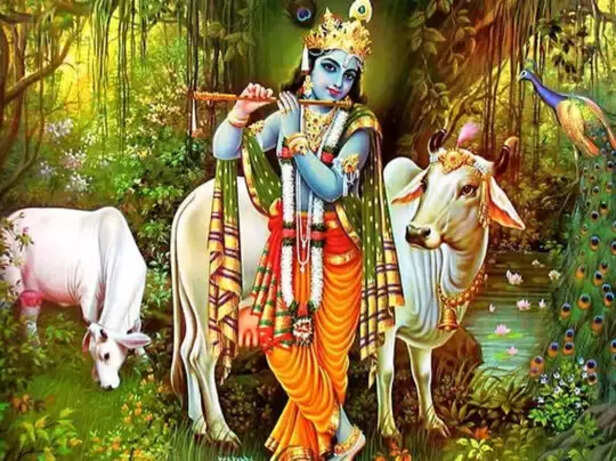 Krishna ji
