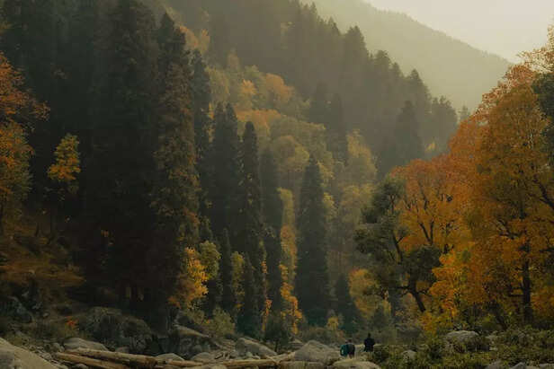 Image Div