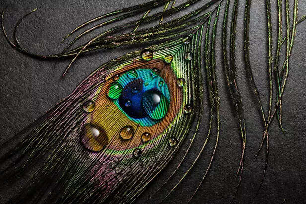 Image Div