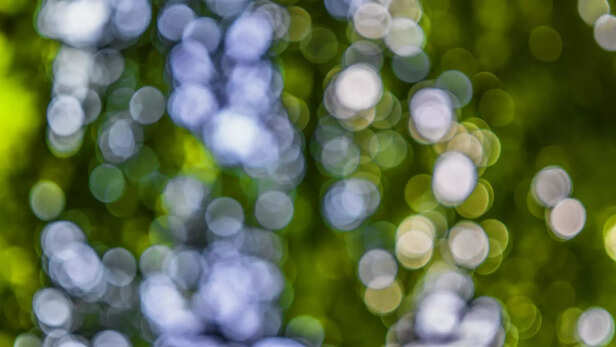 Image Div
