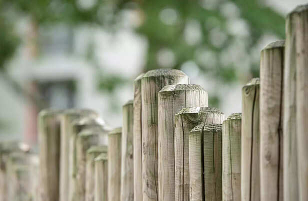 Image Div