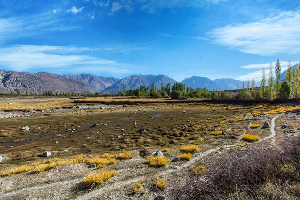 Jammu & Kashmir