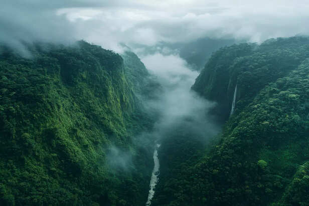 Kamyaka Forest