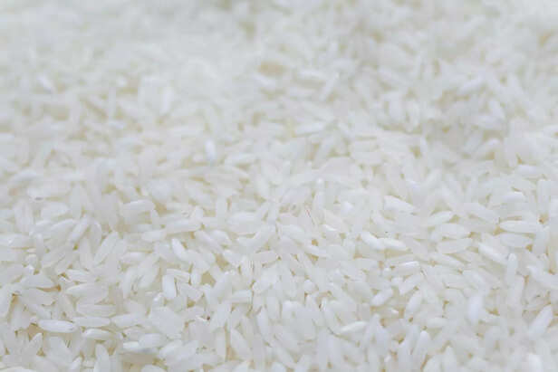 Rice
