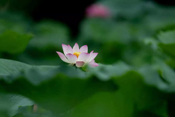 Calm