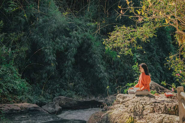 Meditate