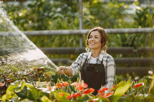 Watering plants