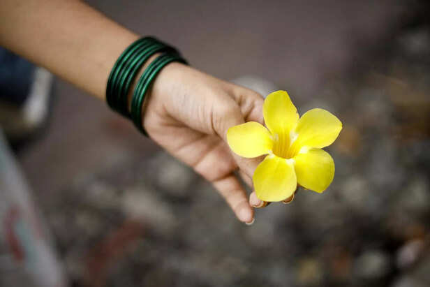 Green bangles