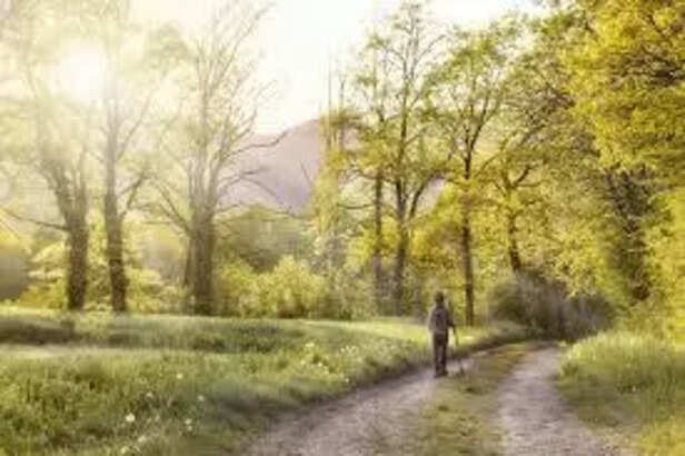 Walking on the right path