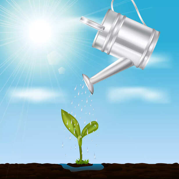Sun-bathing a plant