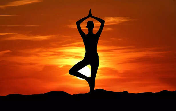 The Science of Stillness