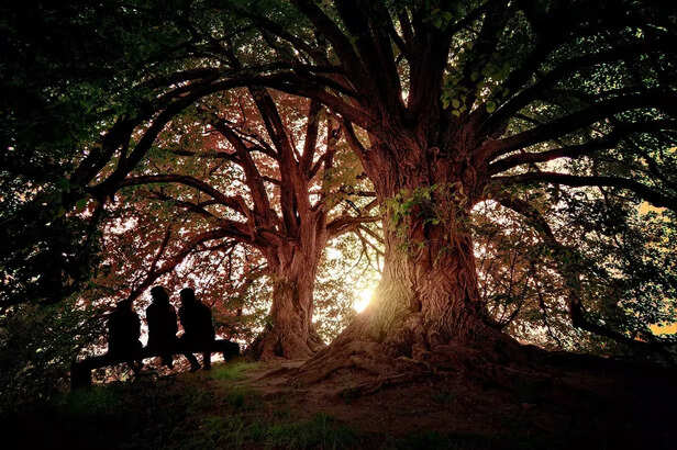 The Path to Liberation