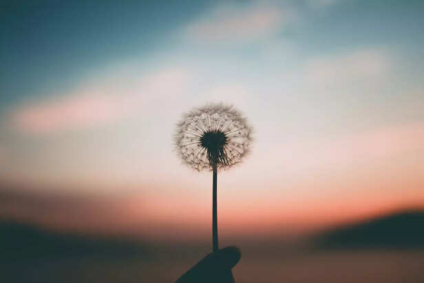 Peace