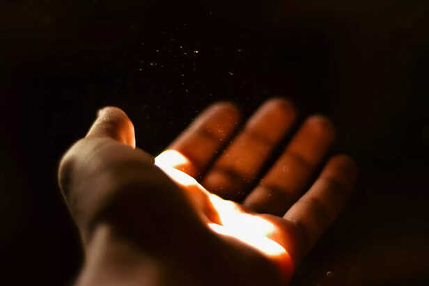 Forgive