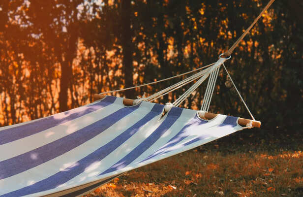 Rest