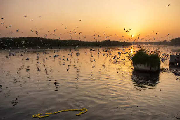 Yamuna ghat