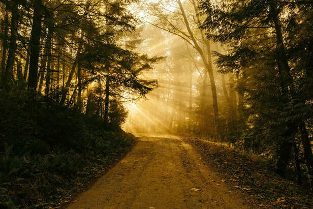 Path