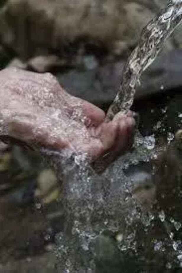 Different water needs