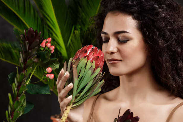 Plant based beauty