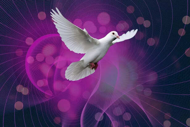 Peace
