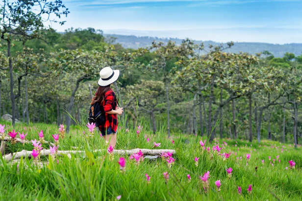 When Should You Visit New Zealand? A Complete Guide