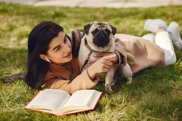 Pugs Tilt Their Head For a Clearer Vision